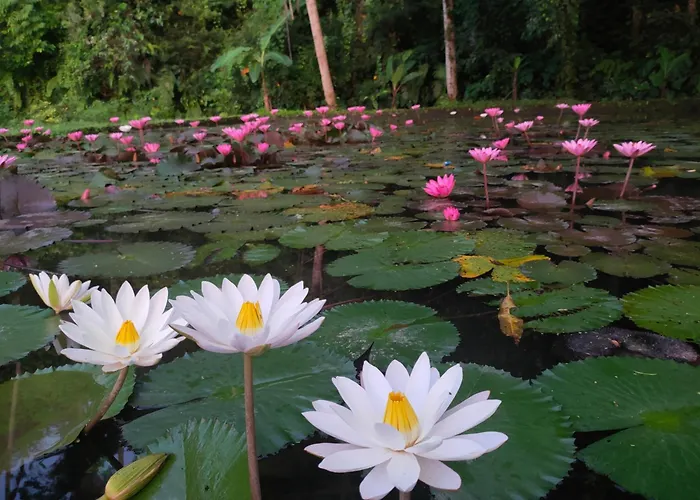 Joglo Tepi Sungai Sidemen (Bali)