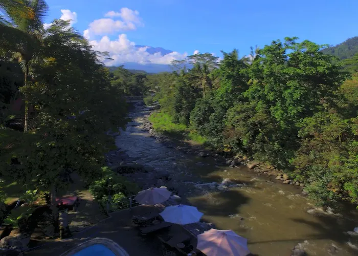Joglo Tepi Sungai